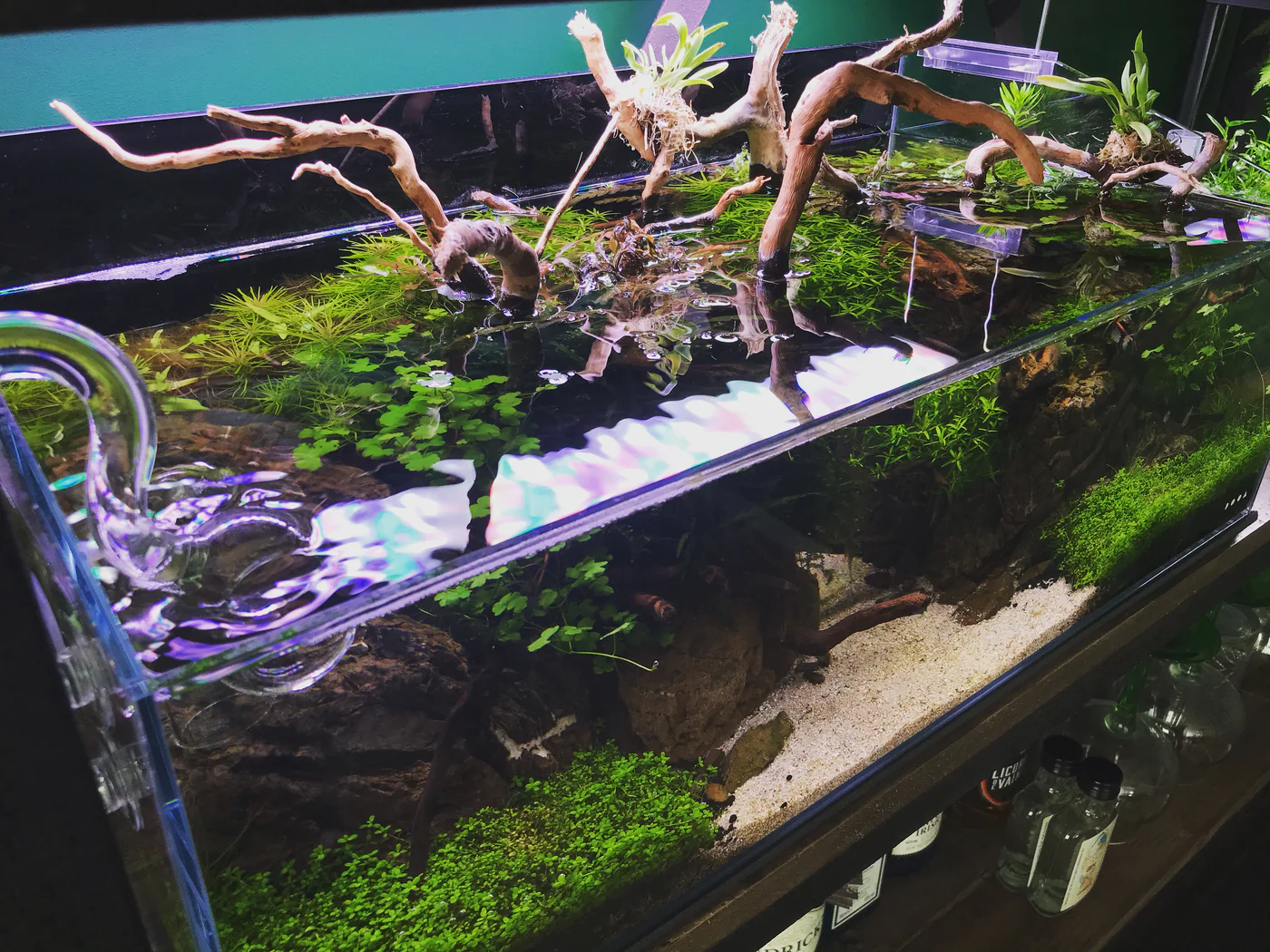 Aquarium Wood